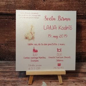 Vabilo za BIRMO z roza pisavo ptičkom in kapo